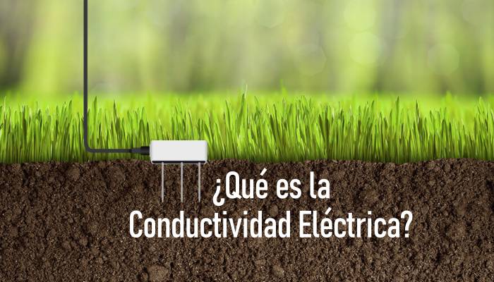 ¿Qué es la Conductividad Eléctrica?