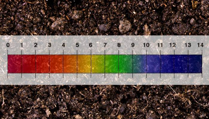 Qué es el pH del suelo