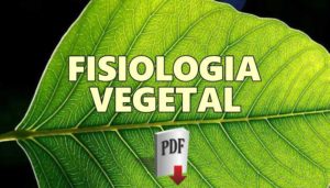 Fisiología vegetal